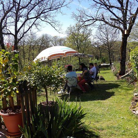 Bed and Breakfast Aux Deux Colombes Padirac Zewnętrze zdjęcie